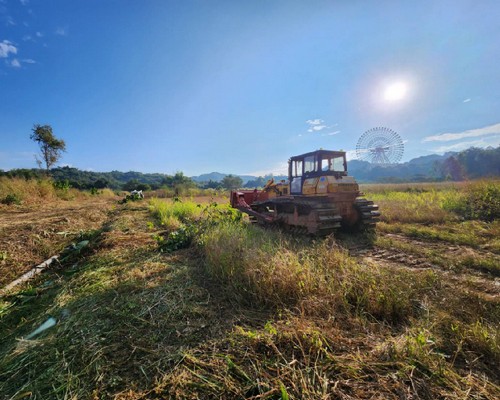 嘉義除草整地, 嘉義樹木修剪, 嘉義割草, 嘉義庭園維護, 嘉義園藝景觀設計