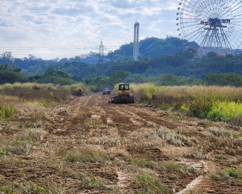 嘉義除草整地, 嘉義樹木修剪, 嘉義割草, 嘉義庭園維護, 嘉義園藝景觀設計