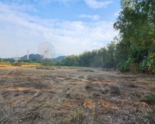 嘉義除草整地, 嘉義樹木修剪, 嘉義割草, 嘉義庭園維護, 嘉義園藝景觀設計