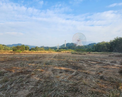 嘉義除草整地, 嘉義樹木修剪, 嘉義割草, 嘉義庭園維護, 嘉義園藝景觀設計