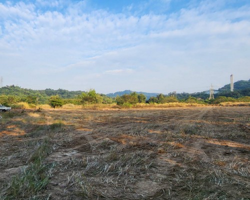 嘉義除草整地, 嘉義樹木修剪, 嘉義割草, 嘉義庭園維護, 嘉義園藝景觀設計