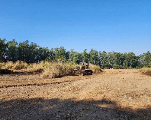 嘉義除草整地, 嘉義樹木修剪, 嘉義割草, 嘉義庭園維護, 嘉義園藝景觀設計