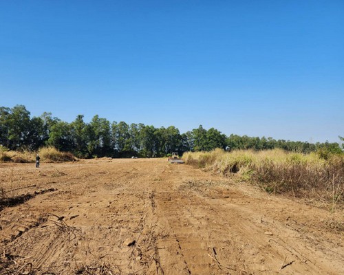 嘉義除草整地, 嘉義樹木修剪, 嘉義割草, 嘉義庭園維護, 嘉義園藝景觀設計