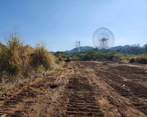 嘉義除草整地, 嘉義樹木修剪, 嘉義割草, 嘉義庭園維護, 嘉義園藝景觀設計